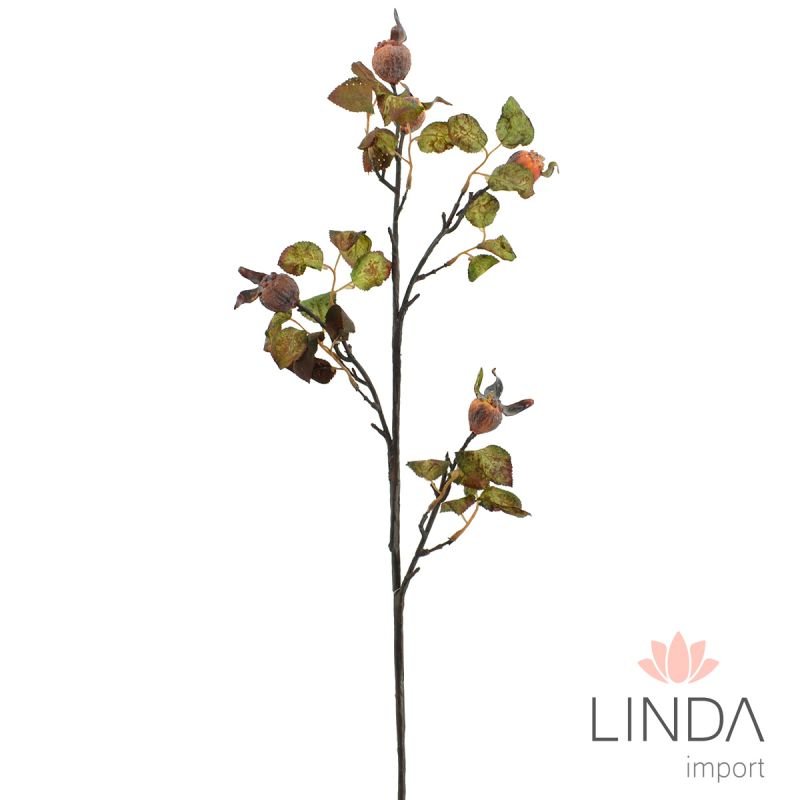 Haste Fruto da Roseira Desidratada 80CM Oi04