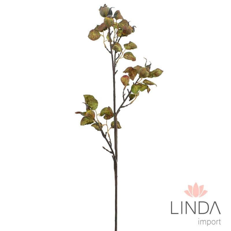 Haste Fruto da Roseira Desidratada 80CM Oi04