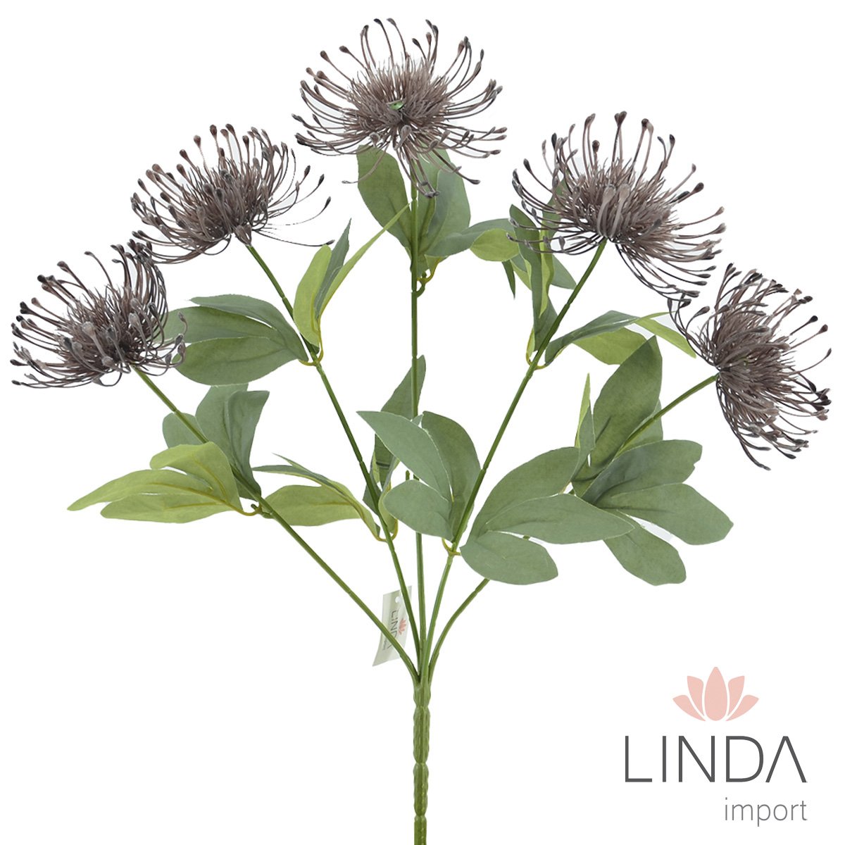 Buquê de Leucospermum C/5 Galhos 47CM Mix de Cores Jo04