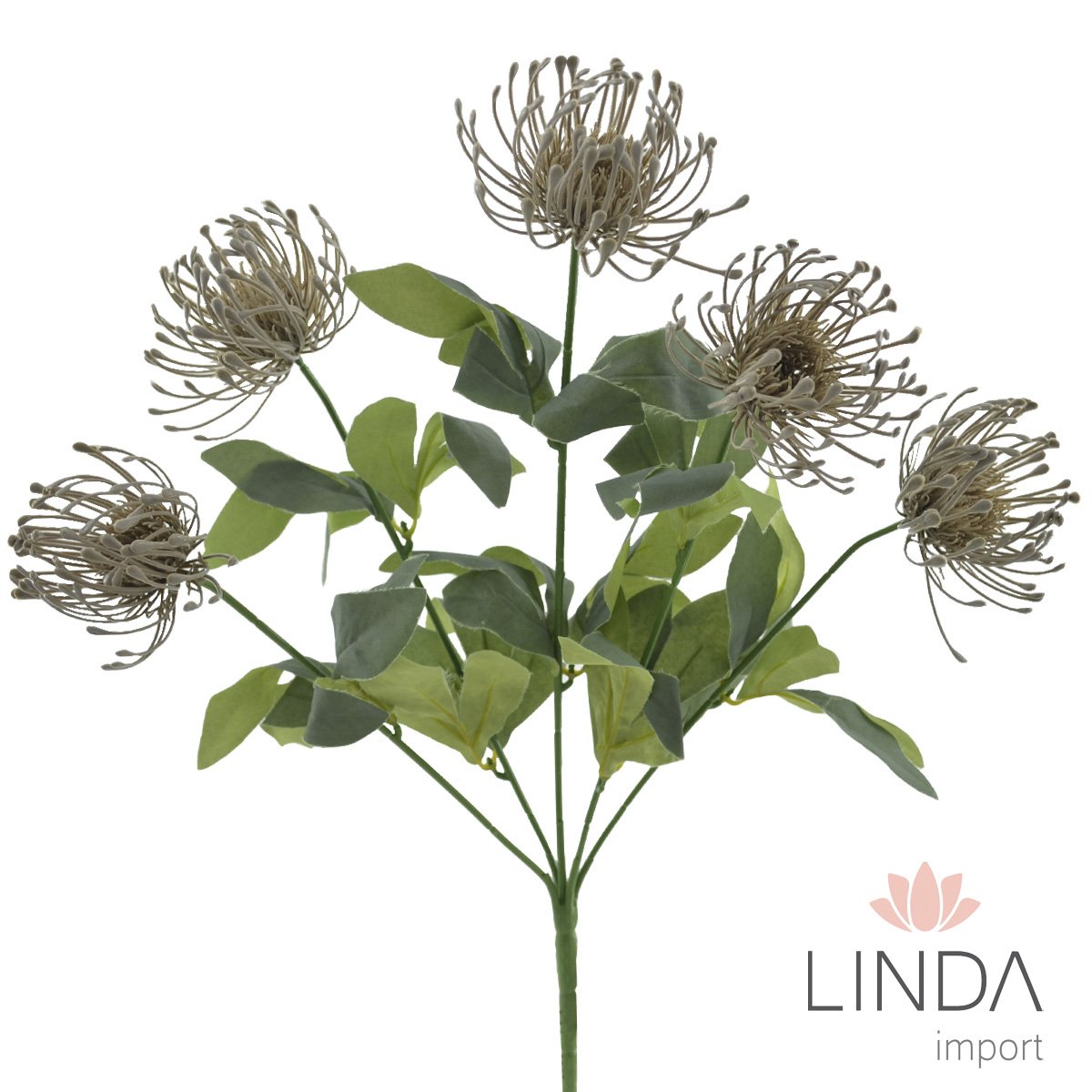 Buquê de Leucospermum C/5 Galhos 47CM Mix de Cores Jo04