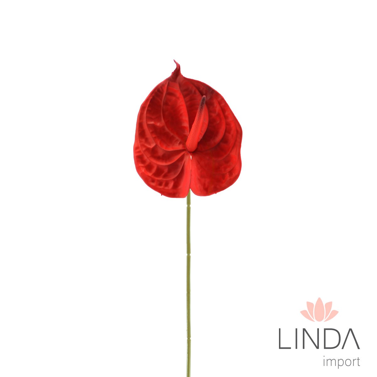 Haste de Flor de Antúrio C/ 80CM e Mix de Cores Ki06