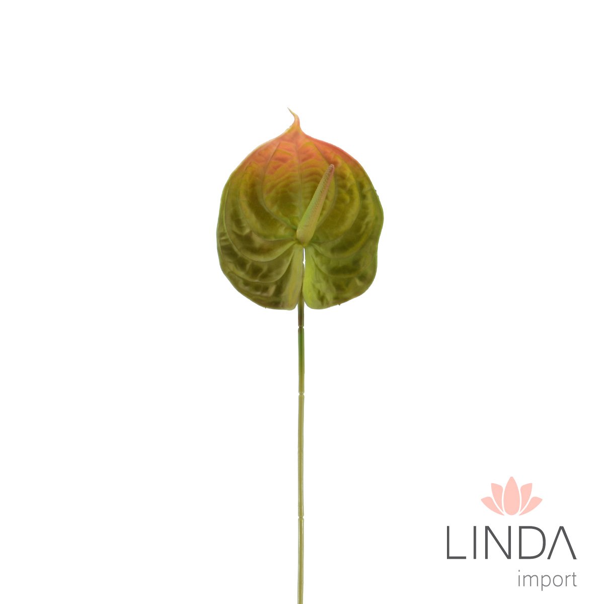 Haste de Flor de Antúrio C/ 80CM e Mix de Cores Ki06