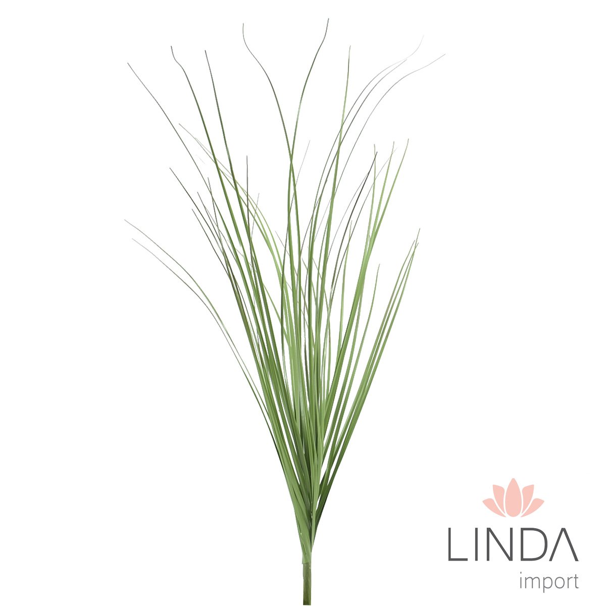 Planta Capim 60CM Mix de Cor Mu01