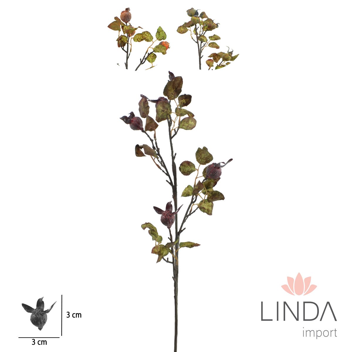 Haste Fruto da Roseira Desidratada 80CM Oi04