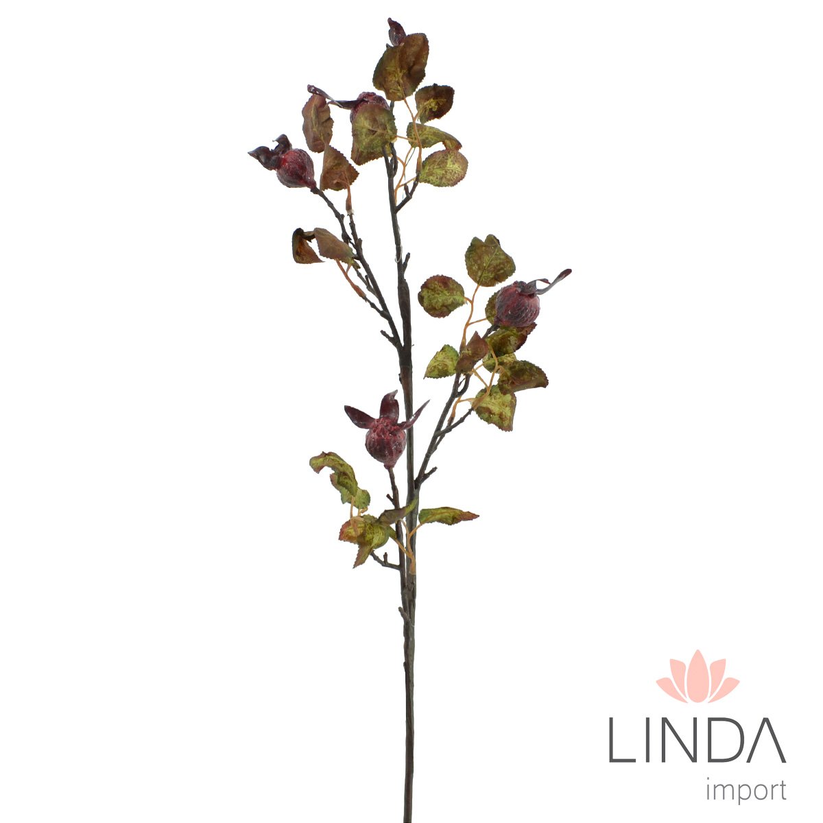 Haste Fruto da Roseira Desidratada 80CM Oi04