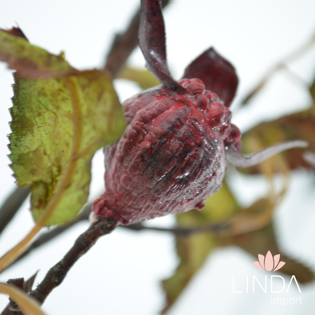 Haste Fruto da Roseira Desidratada 80CM Oi04