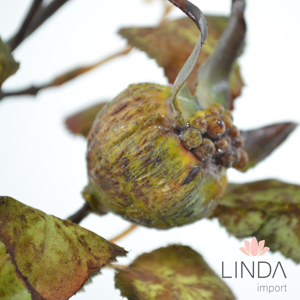 Haste Fruto da Roseira Desidratada 80CM Oi04