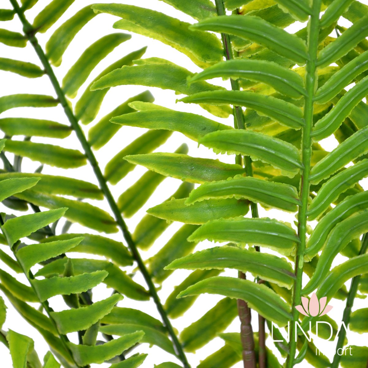 Complemento Verde Samambaia C/3 Galhos 54CM On09