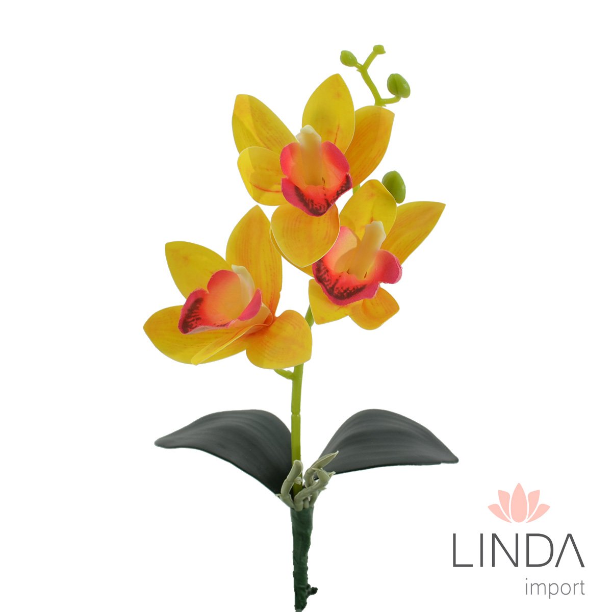 Mini Haste de Orquídeas 3D 30CM Mix de Cores Ou02