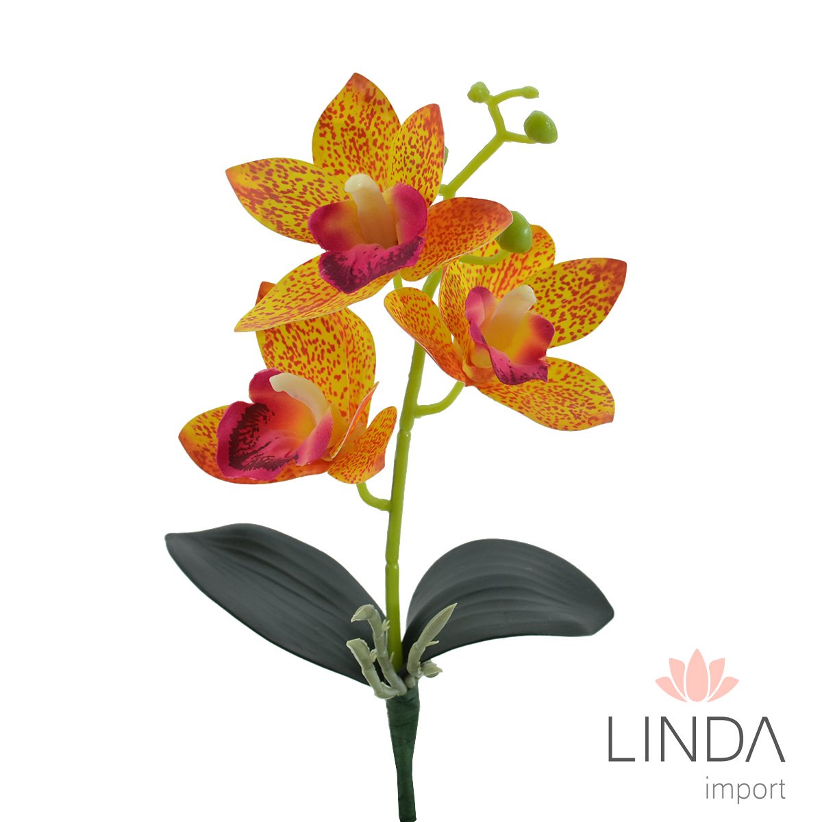 Mini Haste de Orquídeas 3D 30CM Mix de Cores Ou02