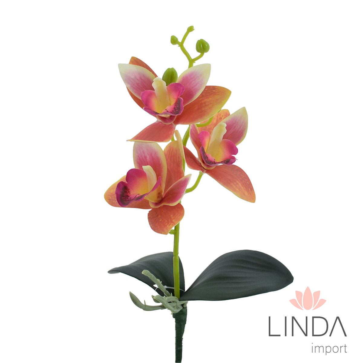 Mini Haste de Orquídeas 3D 30CM Mix de Cores Ou02