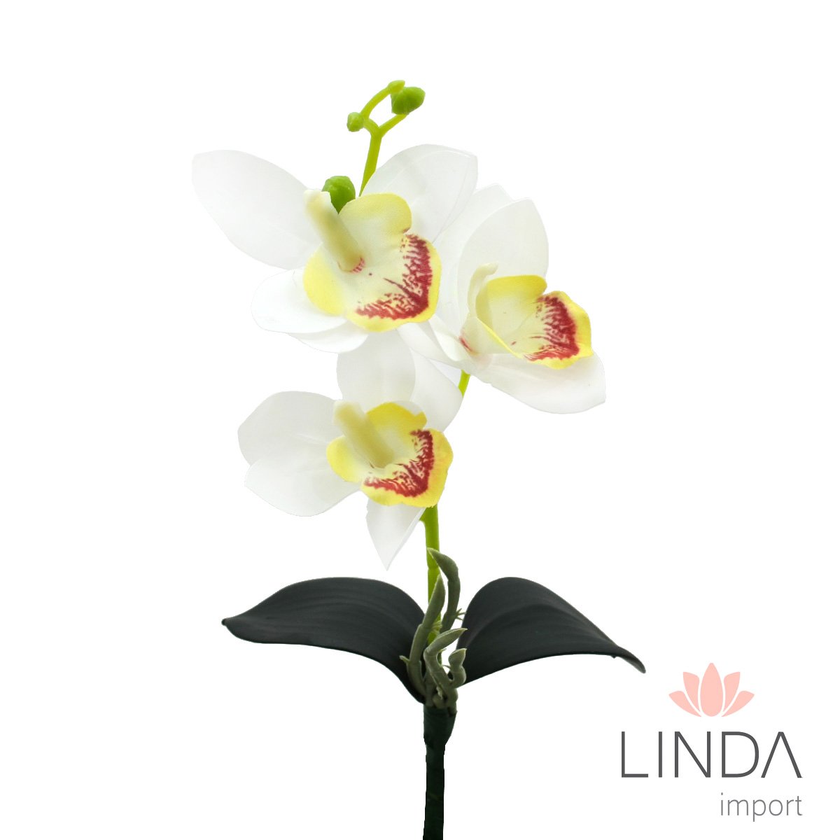 Mini Haste de Orquídeas 3D 30CM Mix de Cores Ou02