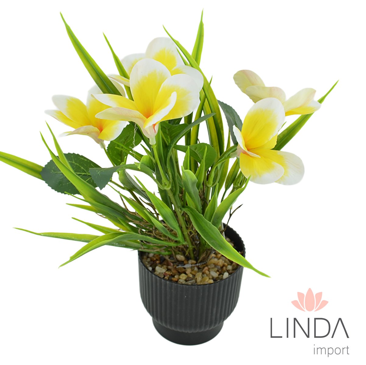Vaso de Planta Flores 28X09CM Mix de Cores PS15